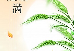 小满|万物见长，小得盈满