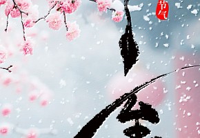 冬至|冬至大如年，人间小团圆