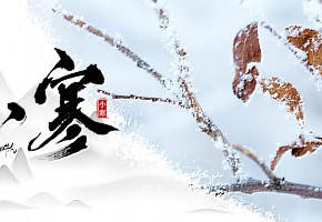 小寒丨心中有暖，岁月不寒