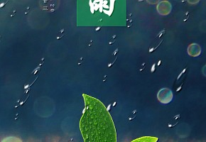 谷雨丨春尽夏将至，繁花似锦来