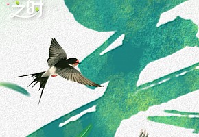 立春丨万物随春醒，美好皆可期